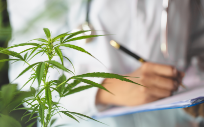 CBD-Get the Facts!